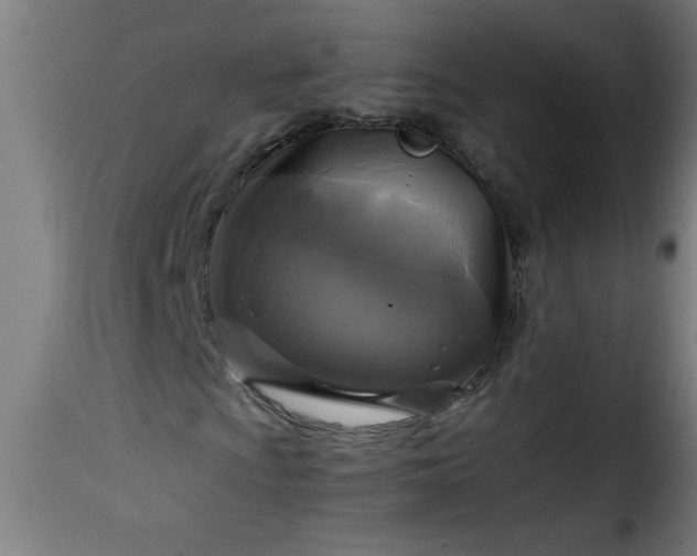 X0000115481009200911201834