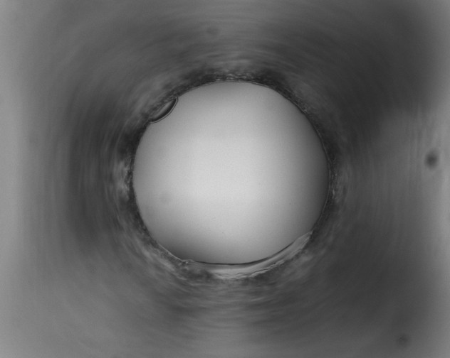 X0000115481010200911201834