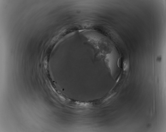 X0000115481011200911201835