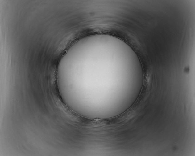 X0000115481012200911201835