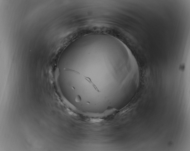 X0000115481013200911201835