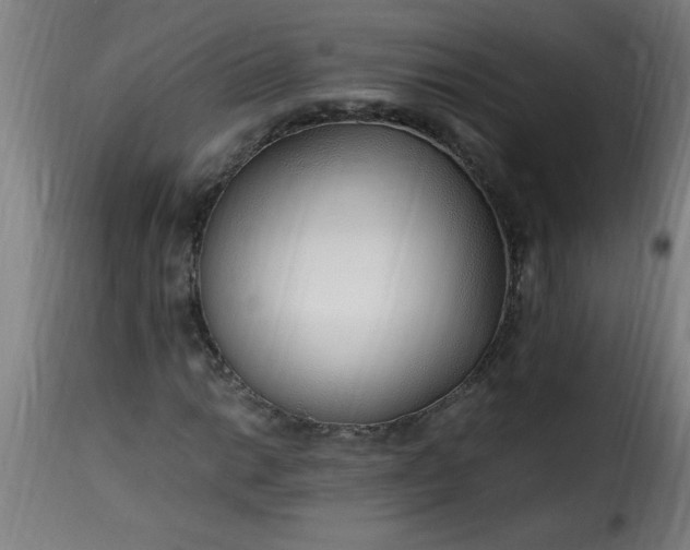 X0000115481014200911201835