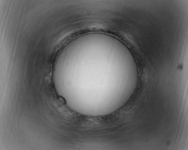 X0000115481015200911201835