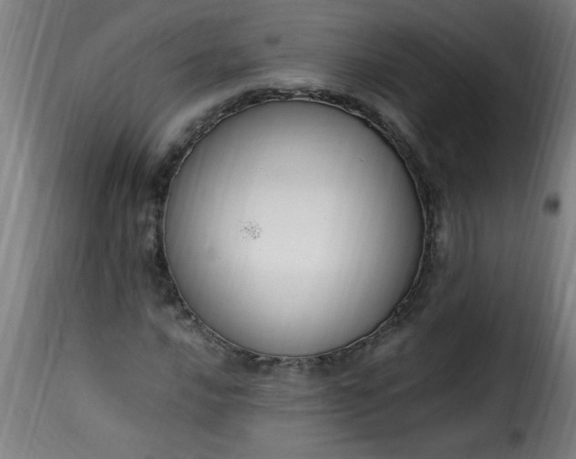 X0000115481016200911201835