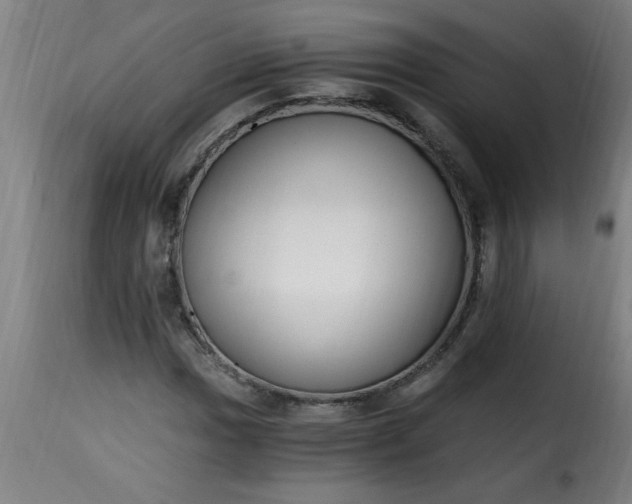 X0000115481017200911201835