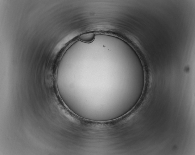 X0000115481018200911201835