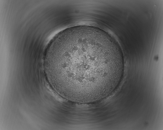 X0000115481019200911201835