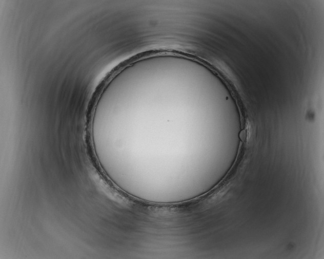 X0000115481020200911201835