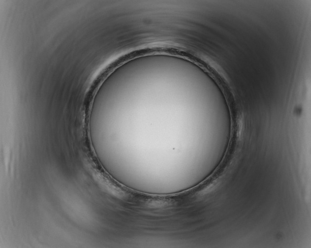 X0000115481021200911201835