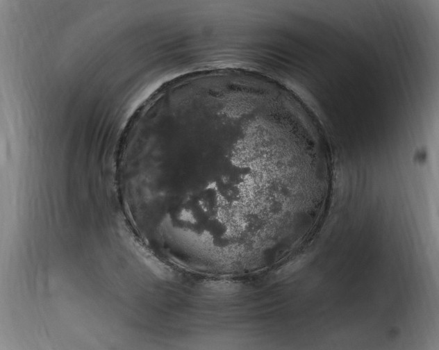 X0000115481023200911201835