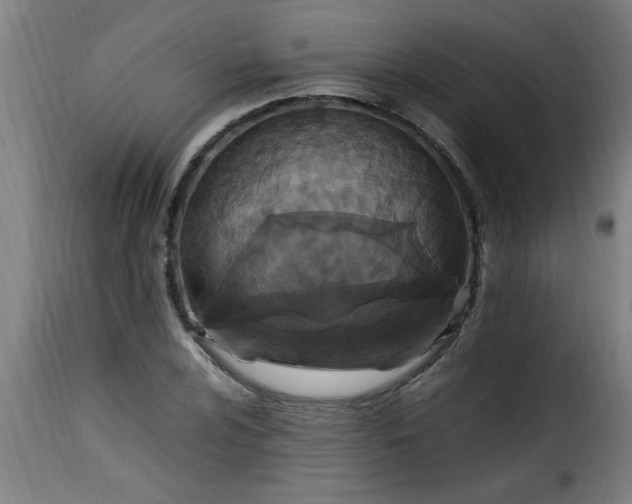 X0000115481024200911201835