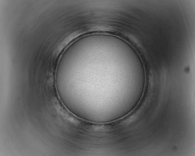 X0000115481025200911201835