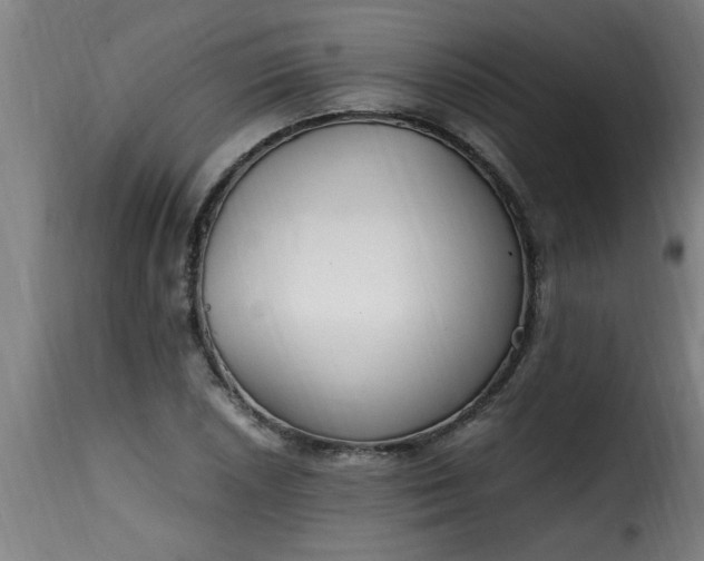 X0000115481026200911201835