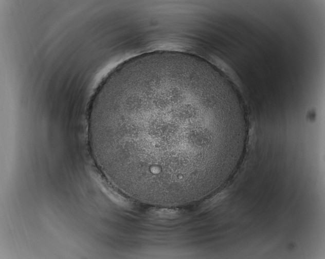 X0000115481027200911201835