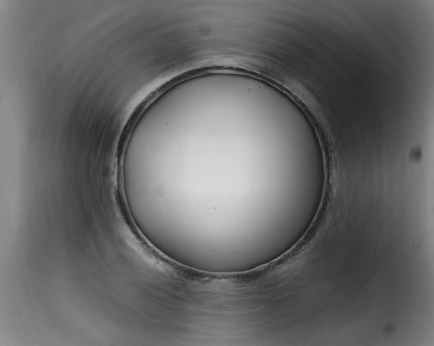 X0000115481028200911201835