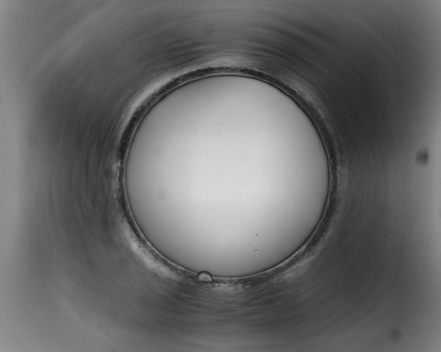 X0000115481029200911201835