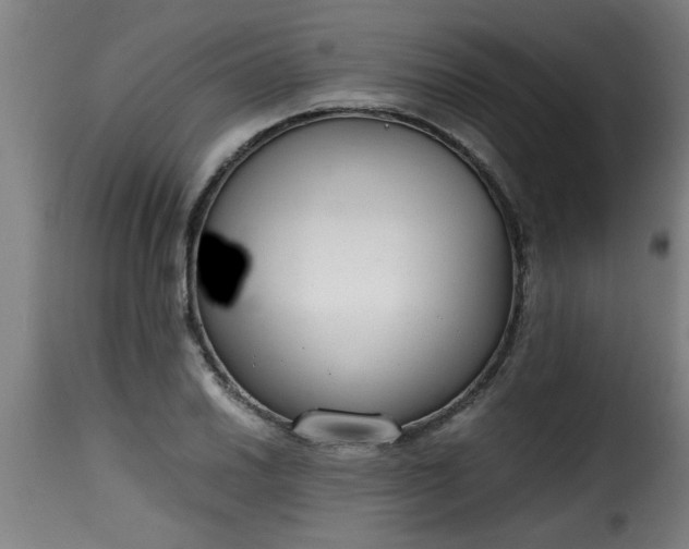 X0000115481030200911201835