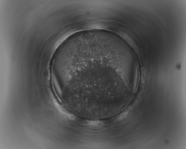 X0000115481031200911201835