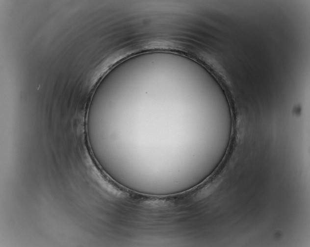 X0000115481033200911201835