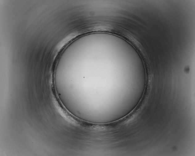 X0000115481034200911201835