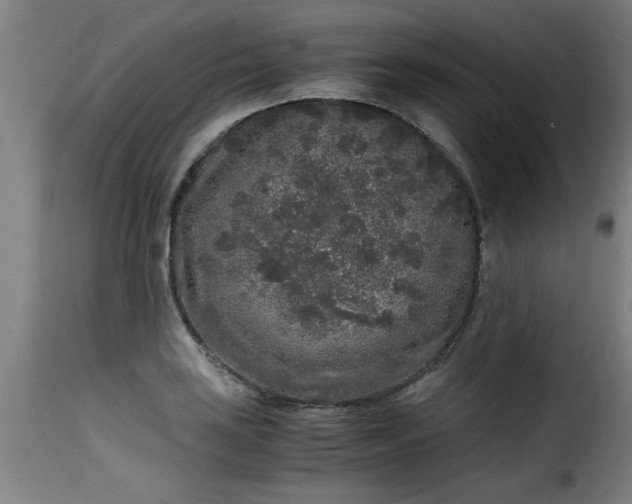 X0000115481035200911201835