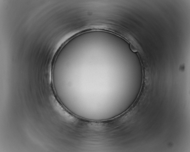 X0000115481036200911201835