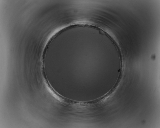 X0000115481037200911201835