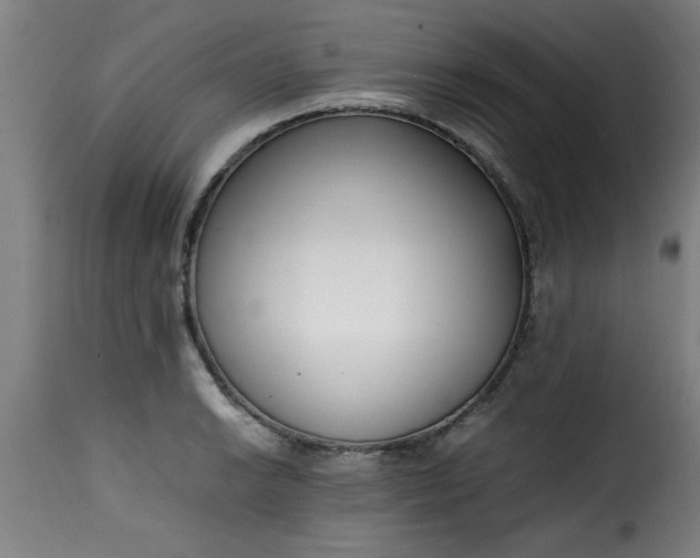 X0000115481038200911201835