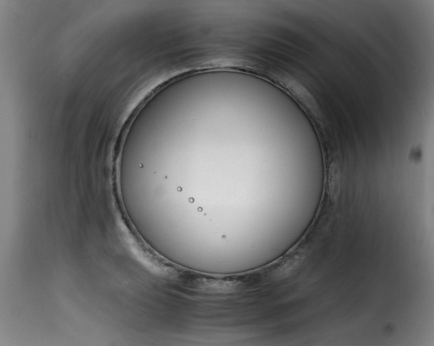 X0000115481039200911201835