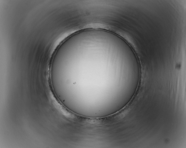 X0000115481040200911201835