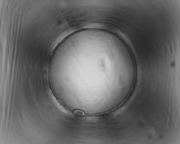 X0000115481041200911201835