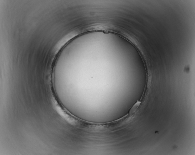 X0000115481042200911201835