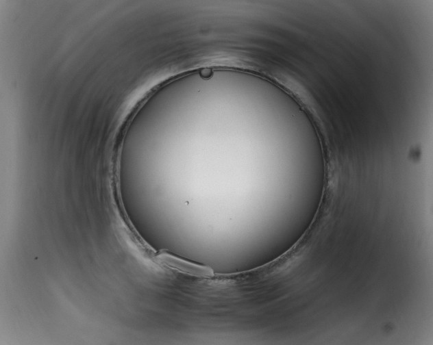 X0000115481043200911201835