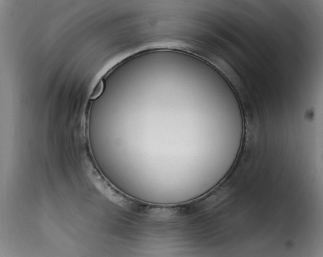 X0000115481044200911201835