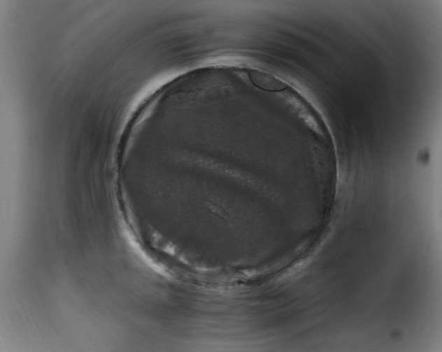 X0000115481045200911201835