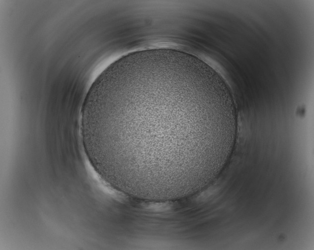 X0000115481047200911201835