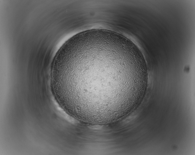 X0000115481048200911201835