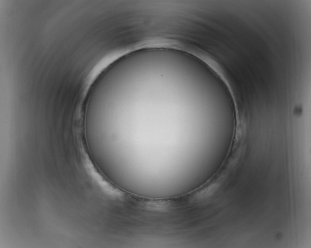 X0000115481053200911201835