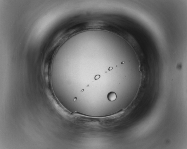 X0000115481054200911201835