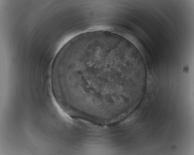 X0000115481055200911201835