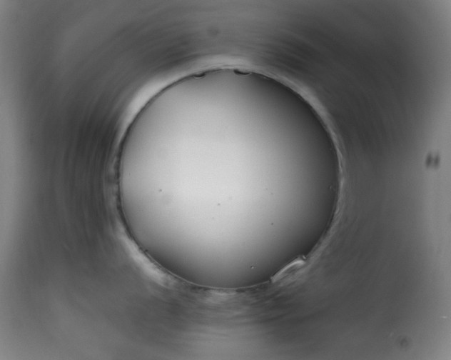 X0000115481056200911201835