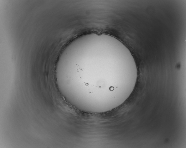 X0000115481057200911201834