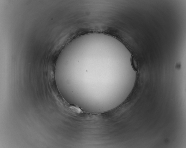 X0000115481058200911201834