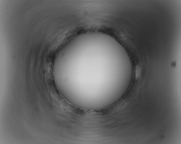 X0000115481059200911201834