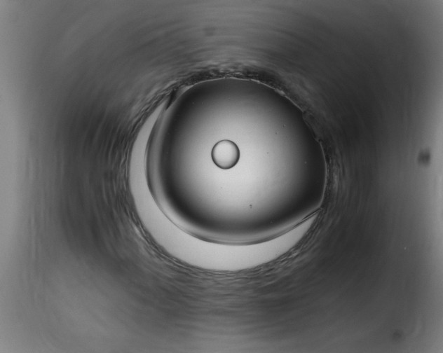 X0000115481060200911201834