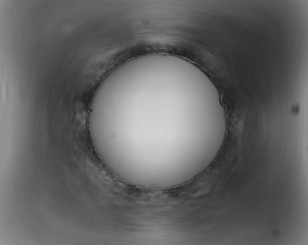 X0000115481061200911201834