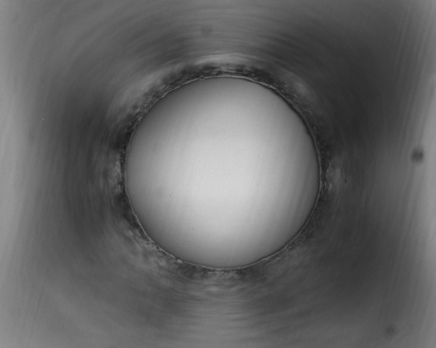 X0000115481062200911201834