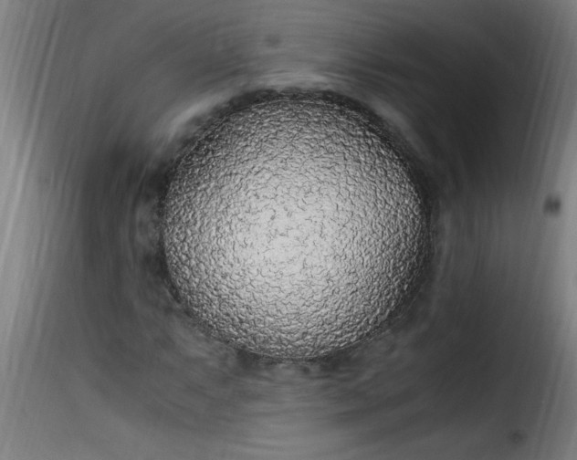 X0000115481063200911201834