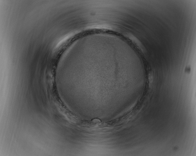 X0000115481064200911201834