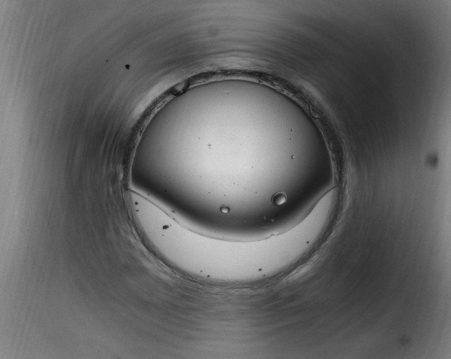 X0000115481065200911201834